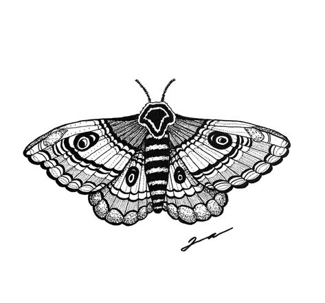 Moth Tattoo Inner Elbow, Black And Gray Moth Tattoo, Black And White Moth Tattoo, Red Moth Tattoo, White Moth Tattoo, Black And White Moth, Red Moth, Moth Tattoo Meaning, Tiger Face Tattoo