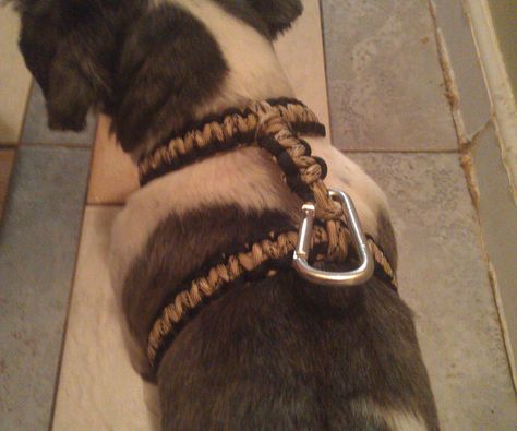 Had a bit of paracord on my hands and felt like my dog needed a new harness. His collar was a bit too uncomfortable for him which led me to ... Paracord Dog Harness Diy, Paracord Dog Harness, Dog Harness Tutorial, Paracord Projects Tutorials, Dog Collar Pattern, Cobra Weave, Paracord Dog Collars, Animal Ideas, Paracord Diy