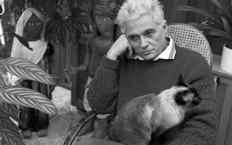 French philosophers with their cats — Steemit