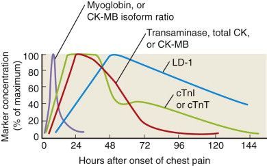 Cardiac enzymes Cardiac Enzymes, Clinical Chemistry, Nursing Cheat, Med Surg Nursing, Nclex Exam, Family Nurse Practitioner, Medical School Studying, Med Surg, Cardiovascular System