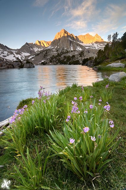 Sierra Nevada Mountains, California. Mountains California, Nevada Mountains, Sierra Nevada Mountains, Image Nature, Professional Advice, Holiday Vacation, Sierra Nevada, Alam Yang Indah, The Grass