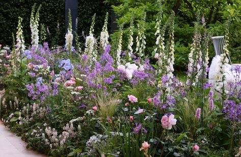 Small Cottage Garden Ideas, Chelsea Garden, Rhs Chelsea Flower Show, Cottage Garden Plants, Cottage Garden Design, Lavender Garden, Smart Garden, English Cottage Garden, Have Inspiration