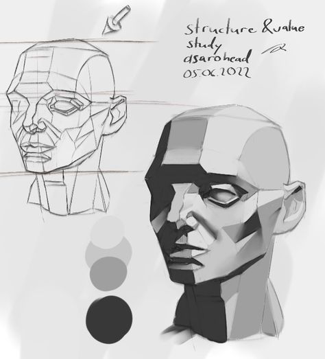 Asaro Head study Asaro Head Study, Angle Reference, Head Drawing Reference, Asaro Head, Anatomy Books, Value Study, Drawing The Human Head, Head Study, Facial Structure