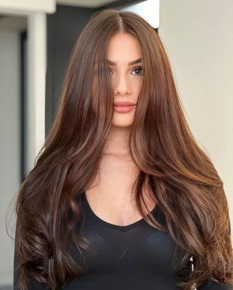 Mermaid Chestnut Brown Layers Asthetic Haircut Girl Long Hair, Chestnut Brown With Highlights, Cut Hairstyles For Long Hair, Highlight Brown Hair, Hairstyles For Long Thick Hair, Thick Brown Hair, Chestnut Brown Hair Color, Brown Hair Colour, Pretty Brown Hair