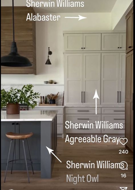 Light Gray And Dark Gray Cabinets, Timeless Kitchen Cabinets Paint Colors, Cabinet Color For Dark Floors, Kitchen Colors Schemes Dark Floors, Cream And Grey Kitchen Cabinets, Kitchen Cabinets Color 2023, Dark Kitchen Island Paint Colors, Creamy Living Room Decor, Anew Gray Sherwin Williams Kitchen Cabinets