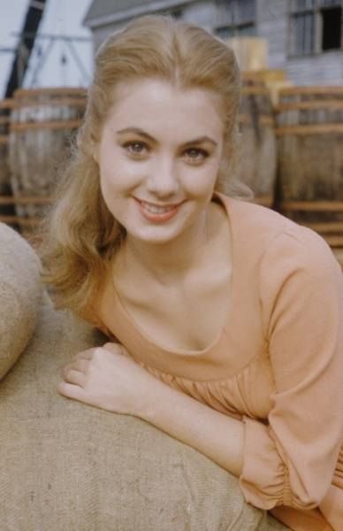 Shirley Jones, Old Hollywood Stars, Classic Actresses, David Cassidy, Stars Then And Now, Hollywood Legends, Love Vintage, Golden Age Of Hollywood, Famous Faces