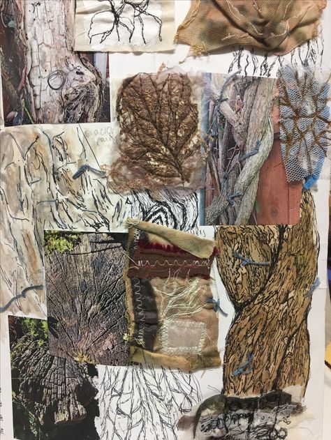 Natural Forms Textiles Gcse, Artist Research Page Gcse Natural Forms, A Level Textiles Natural Forms, Creatures Textiles Gcse, Growth And Decay Textiles Gcse, Fashion Sketchbook Inspiration, Natural Form Art, Textiles Sketchbook, A Level Textiles