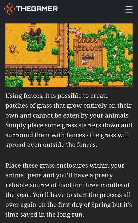 Stardew Valley Spouse Area, Stardew Valley Ostrich Egg, Stardew Valley Mill, Stardew Valley Expanded, Stardew Tips, Stardew Farms, Stardew Valley Layout, Stardew Valley Tips, Stardew Valley Farms