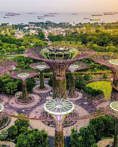 Supertree Grove, Paradise California, Photography Guidelines, Gardens By The Bay, Destination Voyage, Beach Paradise, Hawaii Travel, Beautiful Buildings, Travel Life