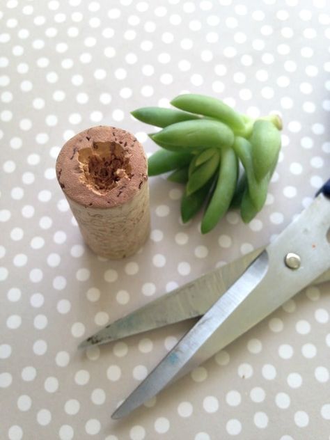 Planters For Succulents, Air Fern, Cork Magnet, Cork Planters, Wine Cork Diy Crafts, Cork Crafts Diy, Wine Cork Diy, Plant Crafts, Champagne Corks