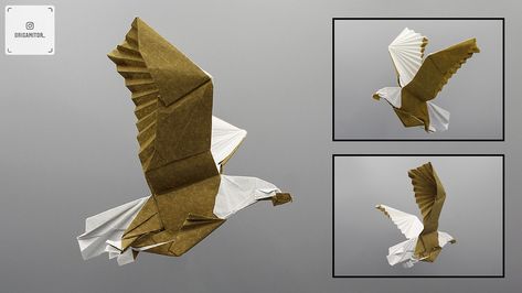 Bald Eagle, designed by Fukuroi Kazuki and folded by Víctor Martínez (Origamitor) (source: ) #origami #baldeagle Origami Birds, Origami Bird, Paper Birds, Origami Crafts, Bird Design, Kraft Paper, Bald Eagle, Paper Art, Origami