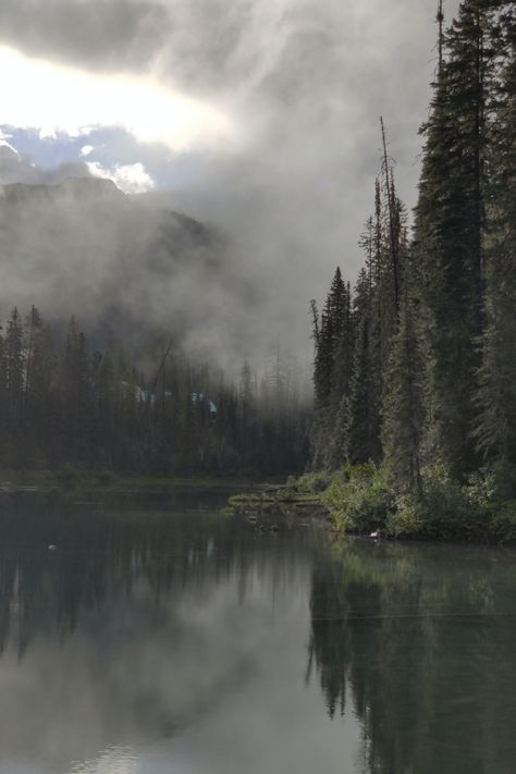 Dark Naturalism, Dark Forest Aesthetic, Iphone11 Pro, Trees Forest, Foggy Forest, Emerald Lake, Dark Nature Aesthetic, Mystical Forest, Forest Wallpaper