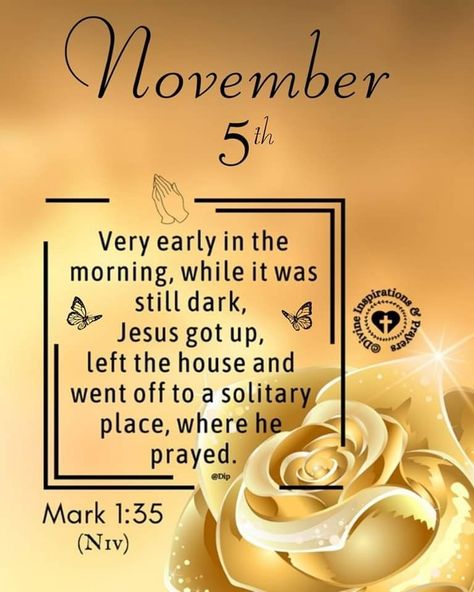 November Blessings, Divine Inspiration And Prayers, Quick View Bible, Welcome November, November Quotes, Daily Word, Verse Of The Day, I Pray, Daily Quotes