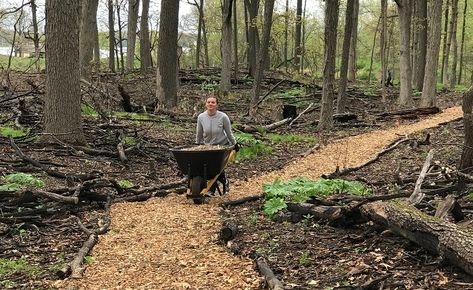 Shade Garden Plants, Farm Plans, Nature Trails, Garden Steps, Forest Trail, Park Trails, Walking Paths, Outdoor Classroom, Wildlife Gardening