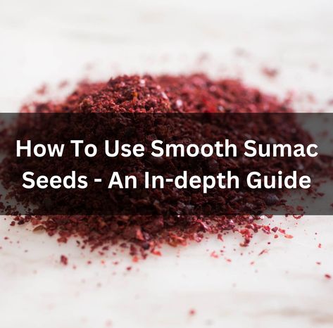 How To Use Smooth Sumac Seeds - An In-depth Guide Smooth Sumac, Sumac Spice, Support Local Farmers, Superfood Powder, Eastern Cuisine, Sugary Drinks, Nutrient Rich Foods, Chronic Inflammation, Spices And Seasonings