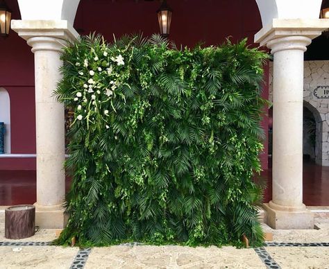 Green wall for photos Wall For Photos, Photo Backdrop Wedding, Perfect Background, Tropical Birthday, Mexican Party, Wedding Boutique, Arte Floral, Tropical Wedding, Riviera Maya