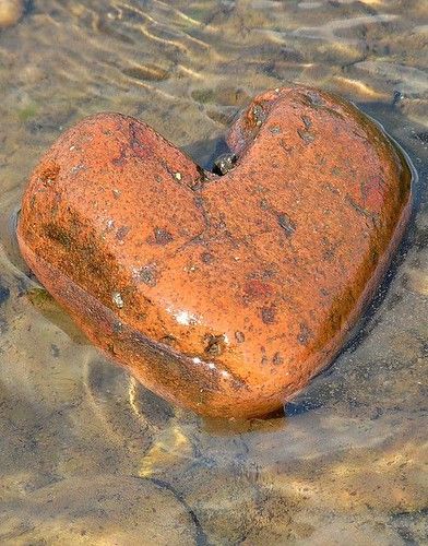 Stone cold heart | Debbie Mathews | Flickr Heart Nature, Hearts In Nature, Heart Shaped Rocks, Hearts Everywhere, Heart Rocks, Heart In Nature, Orange Agate, I Love Heart, Heart Pictures