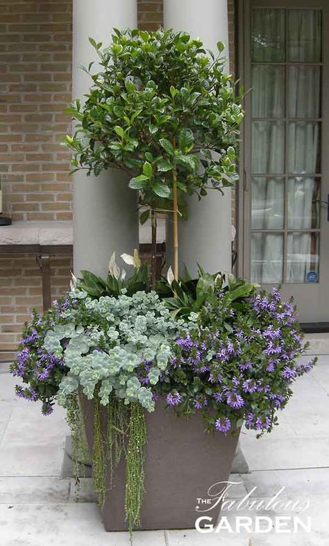 The Container Garden Guide - The Fabulous Garden Porch Topiary, Front Porch Flowers, Front Porch Planters, Porch Plants, Porch Flowers, Container Garden Design, Upstairs Hallway, Container Gardening Flowers, Topiary Trees