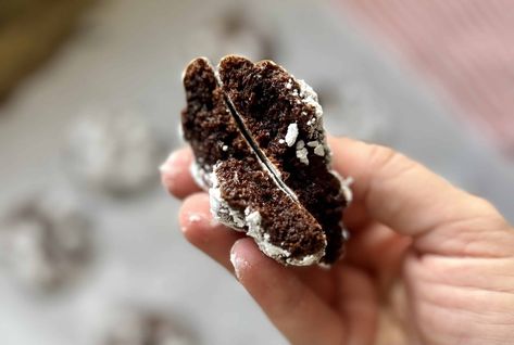 Chocolate Sourdough Crinkle Cookies - Amy Bakes Bread Sourdough Crinkle Cookies, Chocolate Sourdough, Oatmeal Biscuits, Discard Recipes, Pumpkin Scones, Chocolate Crinkle Cookies, Baking Items, Festive Cookies, Cinnamon Chips