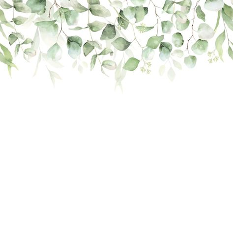 Eucalyptus green leaf seamless border wa... | Premium Vector #Freepik #vector #eucalyptus-wreath #green-wreath #watercolor-greenery #watercolor-eucalyptus Eucalyptus Border Design, Eyfs Displays, Leaf Border Design, Eucalyptus Border, Mission Bbq, Vest Ideas, Postal Card, Watercolor Border, Floral Borders