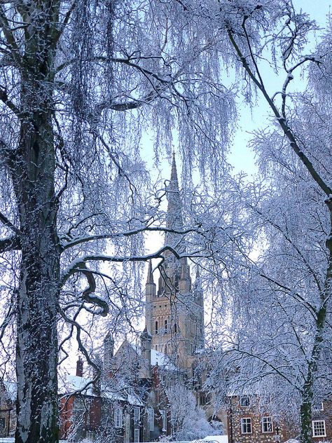 Norwich Cathedral, Norfolk, England Norwich Cathedral, Norfolk England, Norwich Norfolk, Winter Scenery, Place Of Worship, England Uk, England Travel, British Isles, Wales England