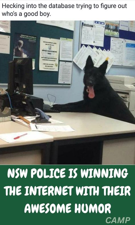 Police Dogs Humor, Funny Facebook Posts, In Laws Humor, Police Humor, Night Gowns, Police Dogs, Police Force, Traditional Attire, So Funny