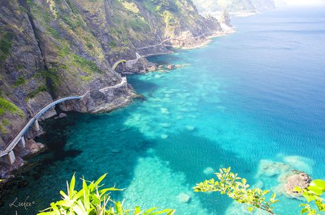 The Haengnam Shore Walkway, which starts at Dodonghang Port, stretches alongside a number of the scenic beauties of Ulleungdo. The path gently winds up and down alongside the rocky coast, giving each traveler an up-close view of some of the best island scenery. Some sections of the path are made of grated metal, so that you can look down past your feet right into the waves. Though narrow at points and slightly rickety, there’s no better way to see the waves, natural caves, and unique ... Korea Tips, Island Scenery, Natural Cave, Rocky Coast, Korea Seoul, On Hiatus, Scenic Beauty, Places Around The World, Walkway