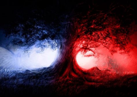 amp-pinterest in action Dark Tree, Gothic Wallpaper, Image Nature, Tree Wallpaper, Blue Tree, Nature Tree, Wallpaper Pictures, Beautiful Backgrounds, Backgrounds Desktop