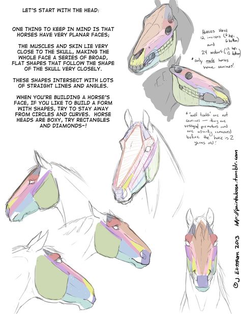 Person On A Horse Reference, Drawings Of Horses, Reference Tutorial, Horse Drawing Tutorial, Clay Horse, Drawing Horses, Animal Skeleton, Horse Art Drawing, Horse Reference