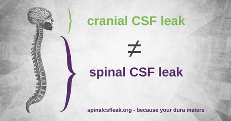 Csf Leak Symptoms, Learn Biology, Spinal Fluid, Crps Awareness, Spinal Column, Types Of Surgery, Cerebrospinal Fluid, Spinal Cord, Anatomy And Physiology