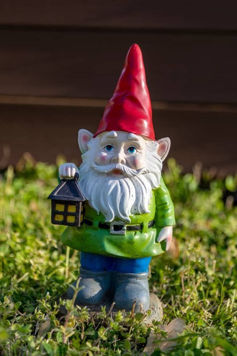 Gnome Meaning, Yard Gnomes, Funny Garden Gnomes, Tooth Fairy Letter, Gnome Pictures, Garden Gnomes Statue, Stone Lantern, Gnome Statues, Garden Gnomes