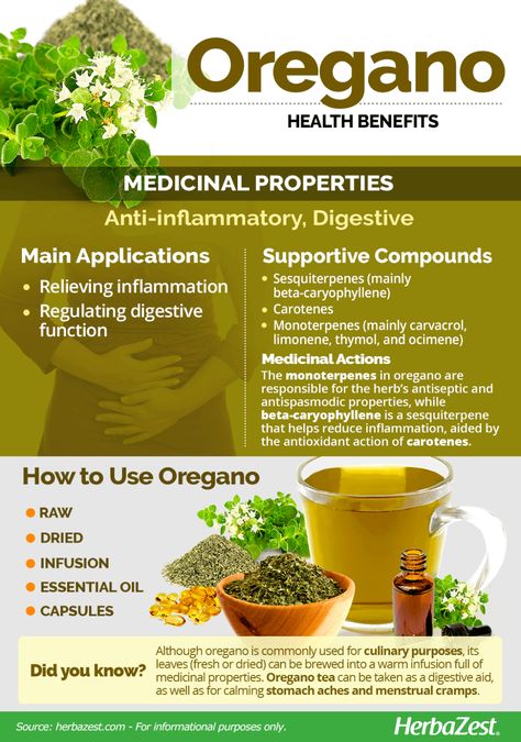 Oregano | HerbaZest Prim Rose Oil Benefits, Juice Images, Oregano Benefits, Benefits Of Oregano, Oregano Oil Benefits, Best Juice, Oregano Oil, Male Fertility, Feminine Health