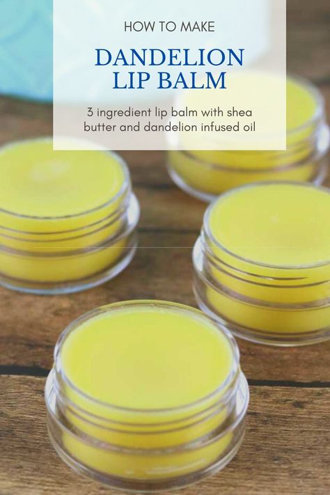 Natural Lip Balm Recipe, Dandelion Oil, Homemade Lip Balm Recipe, Lip Balm Recipe, Balm Recipe, Lip Balm Containers, Lip Balm Recipes, Infused Oil, Homemade Lip Balm