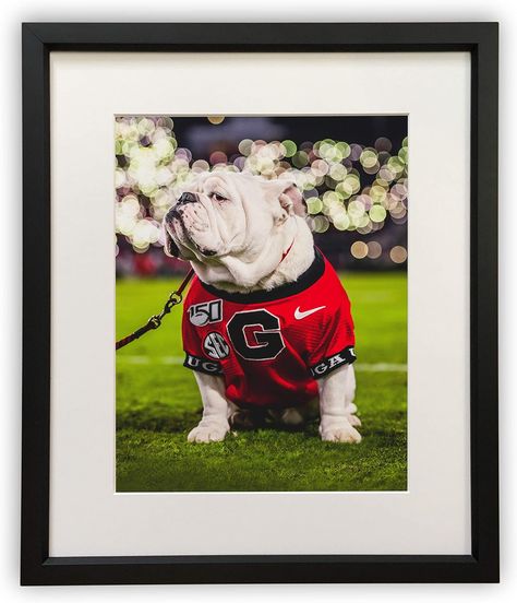 UGA Georgia Bulldogs: Photo Picture Print - UGA X Under The Lights - University of Georgia Poster Art Georgia Poster, Large Photo Prints, Uga Football, Kitchen Artwork, Athens Georgia, University Of Georgia, Under The Lights, Large Photos, Georgia Bulldogs