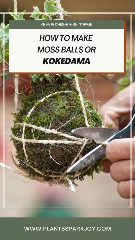 Learning how to make Kokedama is a unique and exciting way of providing a hint of something Japanese to your office or home environment. Kokedama Diy, Bonsai Soil, Moss Ball, Japanese Philosophy, Home Environment, Chinese Money Plant, Decoration Tips, Plant Display, Moss Balls