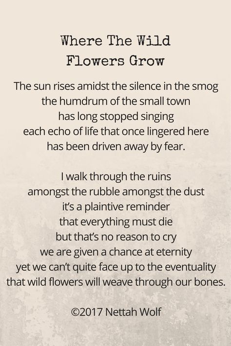 Poems About Wildflowers, Wildflower Poem, Coming Home Quotes, Happy Poems, Fear Quotes, The Sun Rises, Sun Rises, The Ruins, Growing Flowers