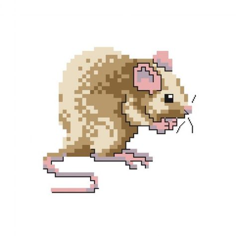 Rat Cross Stitch, Pet Rat, Small Cross Stitch, Animal Cross Stitch Patterns, Mini Cross Stitch, Diy Cross Stitch, Cross Stitch Animals, Sewing Embroidery Designs, Free Cross Stitch