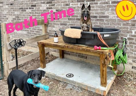 Elevated Dog Bathing Station, Outdoor Dog Bath Station Diy, Raised Dog Bathing Station, Outdoor Dog Bath Station, Homemade Dog Bath Tub, Diy Dog Bath, Dog Washing Station Outdoor, Dog Bathing Station, Dog Tub