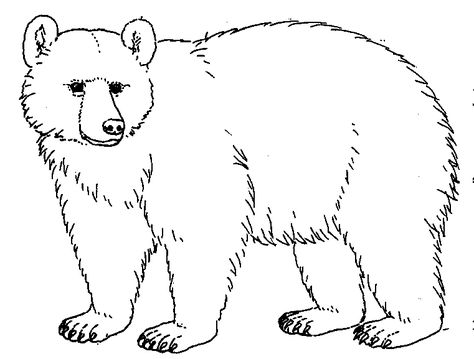 Bear Drawings | ... Worksheet Guide : Pictures Clip art Line Drawing Coloring Pictures تصنيف الحيوانات, Paw Print Clip Art, Polar Bear Coloring Page, Teddy Bear Coloring Pages, Embroidery Animals, Urs Polar, Bear Sketch, Bear Paw Print, Ideas Embroidery