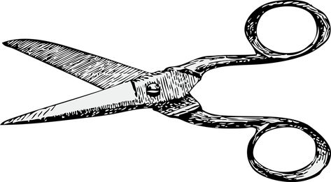 The three-hat method to make your work better Scissors Drawing, Vintage Scissors, Molecular Biology, Journal Themes, Clip Art Vintage, Drawing Videos, Vintage Sewing, Biology, Stock Images Free