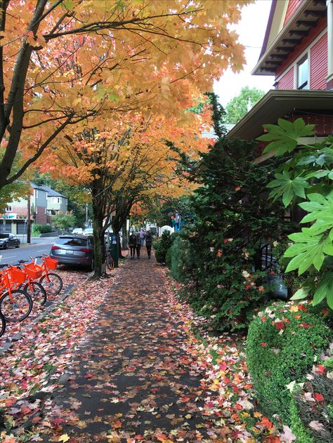 Portland Oregon Fall, Portland Homes, Leaves Changing Color, Oregon Washington, Autumn Days, Cozy Autumn, Autumn Cozy, Autumn Activities, Safe Space