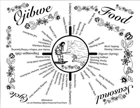 Seasonal Food Chart, Middle School Social Studies Classroom, Aboriginal Language, Native American Spirituality, Indigenous Education, Alternative Education, Native Pride, Indigenous Peoples Day, Social Studies Classroom