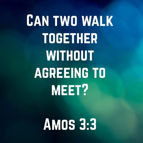 Can two walk together without agreeing to meet? Amos 3:3 CSB Walk Together, Audio Bible, Daily Bible Reading, Bible Versions, Favorite Bible Verses, Verse Of The Day, Read Bible, Bible App, To Meet