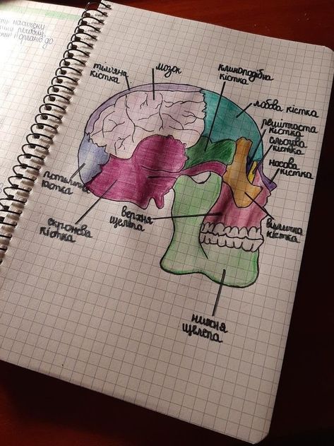 Biology Diagrams, Plastic Clothing, Medical School Life, Nurse Study Notes, Biology Facts, Medical Student Study, Study Flashcards, Biology Lessons, Medical School Motivation