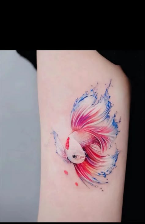 Berta Fish Tattoo, Color Fish Tattoo, Beta Fish Tattoos, 2 Fish Tattoo, Watercolor Fish Tattoo, Pisces Watercolor, Fishing Lure Tattoo, Betta Tattoo, Coy Fish Tattoos