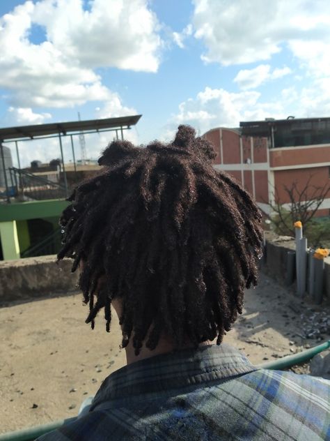 Freeform Locs Men, Semi Freeform Dreads, Short Freeform Locs, Semi Freeform Locs, Freeform Dreadlocks, Free Form Locs, Freeform Dreads, Freeform Locs, Hair Like Wool