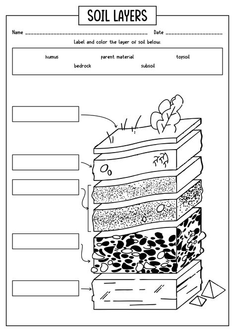 Soil Layers Worksheet, Grade 3 Soils Unit, Earth Science 2nd Grade, Layers Of Soil Worksheet, 3rd Grade Geography Worksheets, Fossil Lessons 3rd Grade, Soil Formation 3rd Grade, 3rd Grade Science Activities, Soil Layers For Kids