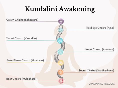 In this article, we’ll learn about the Kundalini energy, the benefits of the Kundalini activation process for your chakras, and effective ways to awaken this innate life force so you can start unlocking your chakras in the most harmonious way possible. #selflovetips #selflove #selfcare #selfhealingjourney #selfheal #healingwork #healingenergy #chakraworkshop #chakracrystals #sevenchakras #chakrabalancing #chakrahealing #chakra #chakrabalance #chakraalignment #meditation #chakrahealing #chakra What Is Kundalini, Kundalini Snake, Kundalini Activation, Muladhara Chakra, Kundalini Meditation, Anahata Chakra, Kundalini Awakening, Energetic Body, Yoga Mantras