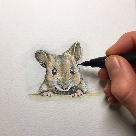 Maus Illustration, Mouse Illustration, Mouse Drawing, 강아지 그림, Colour Painting, Animal Drawing, Water Colour, Watercolor Animals, Art Inspiration Drawing