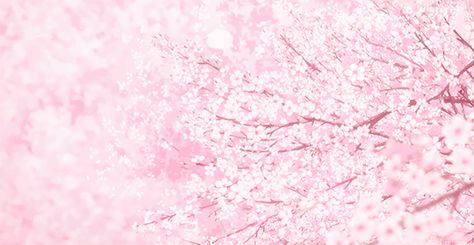 Pastel Pink Aesthetic Banner, Gif Pink Wallpaper, Pink Live Wallpaper Pc, Cute Pink Gif Banner, Pink Moving Background, Pastel Pink Discord Banner, Pink Gif Background, Pink Gif Wallpaper, Cute Pink Header